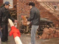 2020年农历十二月十五日上梁好不好？