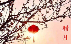 属狗腊月出生的人有什么命运