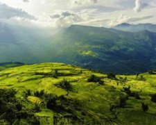 狗年腊月出生的人命运怎么样？好不好？