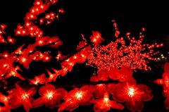 2020年阴历腊月26是什么星座？