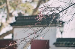 2020农历腊月初九的人是什么星座？