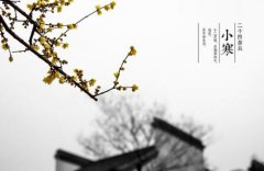 2020小寒这天可以登记结婚证吗？民政局有开吗？