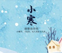 2020年小寒节气出生是纯阴命吗？