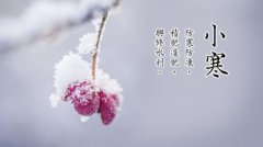 2020年小寒可不可以订婚？黄历上怎么写？