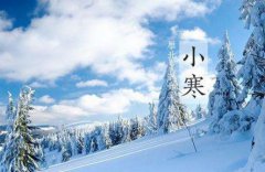 2020年小寒日子适合出行吗,小寒出远门好不好？