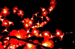 2020阴历腊月初十是什么星座？这天吉凶如何？