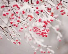 2020年小寒节气吃什么,小寒吃什么传统食物？