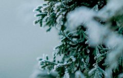 2020年小寒是几月几日,2020年小寒适合装修婚房吗？