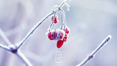 2020年1月5日小寒黄历适合安葬吗,小寒下葬好不好？