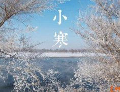 2020年小寒出生的人命理和运势分析