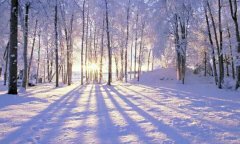 2020年小寒节气是几月几日,小寒的由来解析！