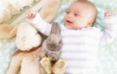 2020年农历十二月初四日出生的宝宝属于什么星座?