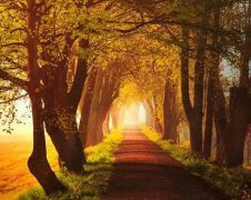 2020年农历十二月十三出殡好不好？