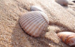 2020年腊月初四黄历日子适合祭祀吗,十二月为什么是腊月?