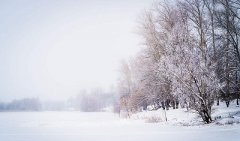 2020年农历十二月初四日出生的男孩命运如何?