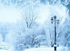 2020年农历十二月初二日出生的男孩命运怎么样?