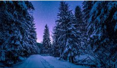 2020年农历十二月初三日出生的男孩命运怎么样?