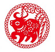 属牛的人出生在元旦好吗?元旦出生的名人有哪些?