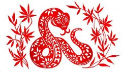 元旦出生的属蛇的人命理解析