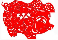 元旦出生的属猪的人命运好不好?