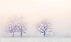 2020年冬至可以搬家吗？