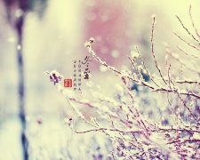 2020年冬至日子适合安床吗,冬至安床要注意什么？