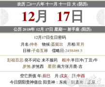 2020年农历十一月十一是几月几号，是什么日子？