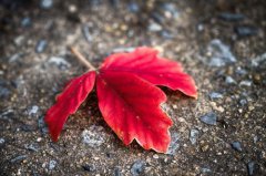 2020冬至是具体时辰是多少,2020年冬至这天卦象怎么样？