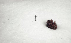 2020年冬至出生的男孩命好吗？性格怎么样？