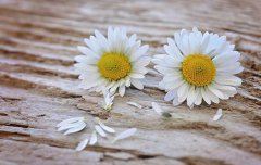 2020年冬至适合动土迁坟吗,2020年冬至前后迁坟吉日推荐！