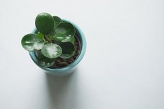 2020年农历十一月二十二日子好吗,这天适合装修吗？