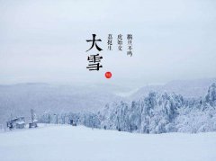 2020年12月7日大雪出生狗宝宝是什么星座,大雪出生好吗?