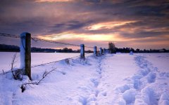 2020年农历十一月初一大雪黄历日子适合结婚办喜酒吗?