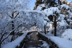 2020年大雪节气北方吃什么,大雪吃什么蔬菜较养生？