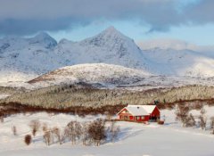 2020年农历十一月二十六是黄道吉日吗？日子时辰好不好？