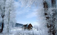 2020年12月7日大雪这天黄历日子如何,适合安床吗？