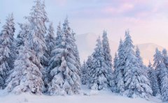 2020年农历十一月初一大雪可以理发吗,大雪理发注意什么?