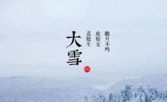 2020年大雪是几月几日几点几分，关于大雪的诗句欣赏