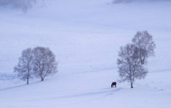 2020年大雪要注意什么,关于大雪节气的诗词