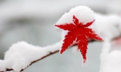 2020年大雪时辰吉凶查询，大雪节气特点介绍