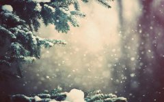 2020年大雪节气养生较适合吃什么水果?