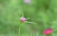 2020年农历十一月初七出门旅游好吗,出门旅游注意什么？