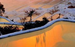 2020年农历十一月初九日子好吗,这天装修婚房适合吗?