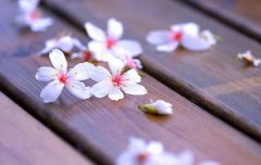 2020年农历十一月初八黄历日子适合装修房子吗?