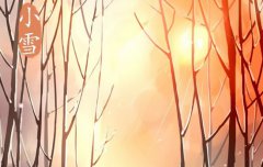 小雪节气物候是什么,关于小雪的谚语解析！