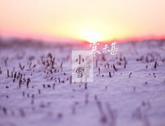 2020小雪是几点几分，和感恩节是同一天吗？