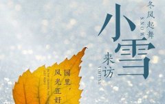 2020年小雪节气养生注意什么,小雪养生注意事项解析！
