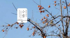 有哪些关于小雪节气的谚语？关于小雪节气的诗句