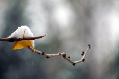 2020年11月22日是什么日子,小雪节气？日子好不好？