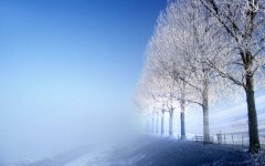 2020年农历十月十五小雪节气适合领证吗,小雪领证好吗？